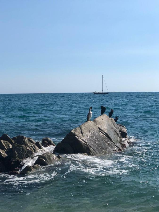 White Stones Beach In Sant Pol De Mar Exterior foto